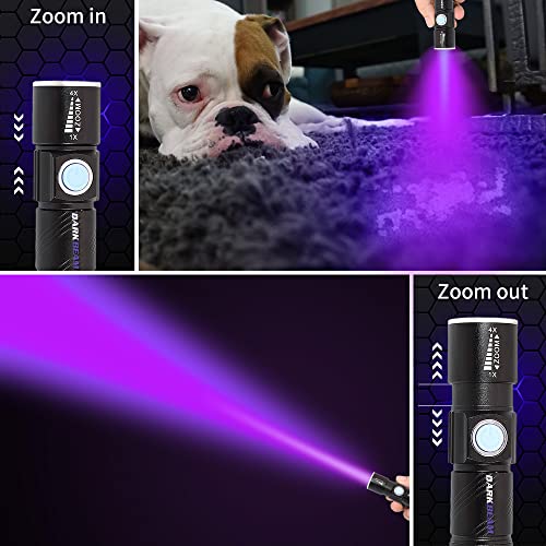 DARKBEAM 395nm USB UV Flashlight 2-Pack - Portable Blacklight for Pet Urine Detection & Identification
