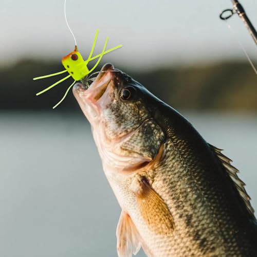 20pcs Fly Fishing Poppers Topwater Lures for Bass & Trout