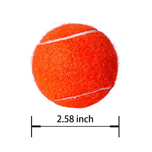 High-Visibility Tennis Balls - 4 Pack for Training & Dog Play - Orange
