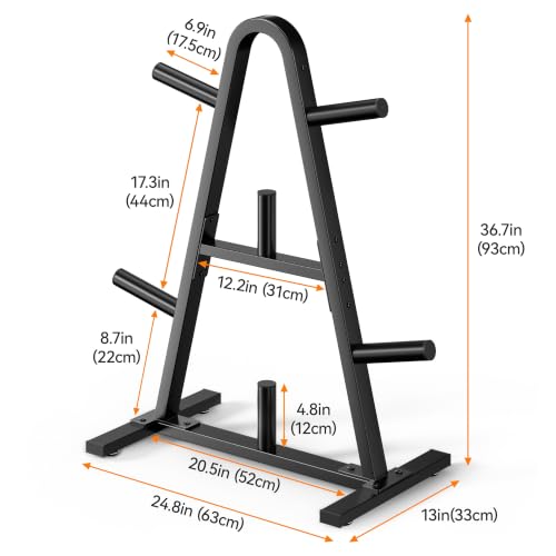 Olympic Weight Plate Rack - 400 LB Capacity A-Frame Storage