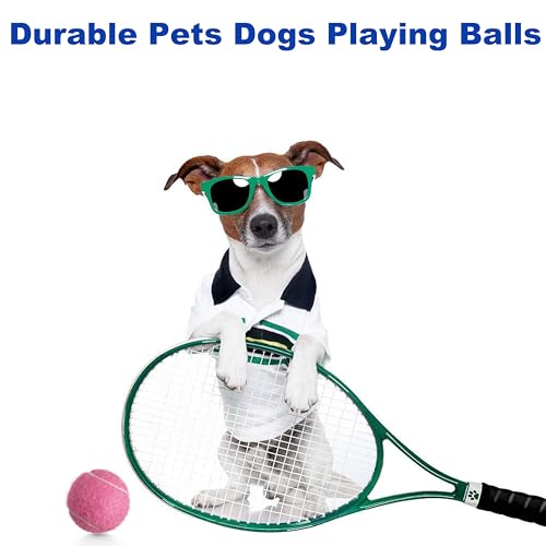 3 Pack Tennis Balls - Long Lasting Practice Balls for Beginners - Pink