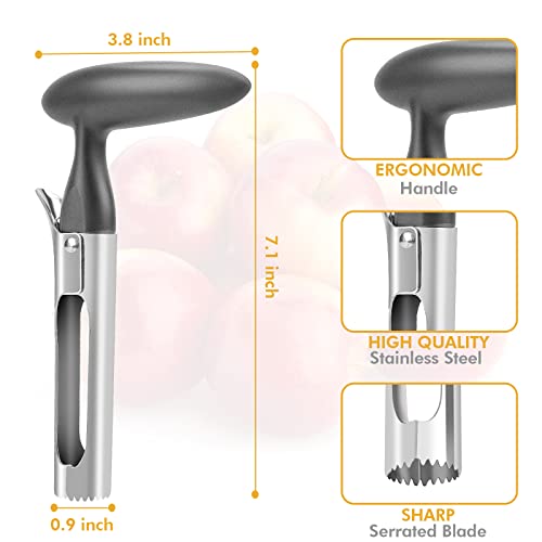 Apple Corer Tool - Ultra-Sharp Stainless Steel - Gray