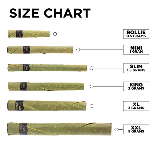 Natural Palm Leaf Mini Cones - Squeeze & Pop Pre Rolls - Pine Drip