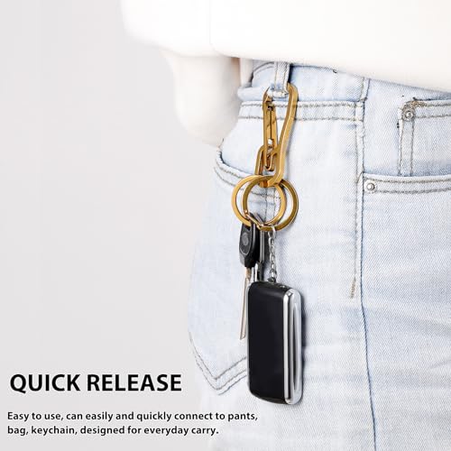 Retractable Carabiner Clip Keychain Set - Gold, Quick Release
