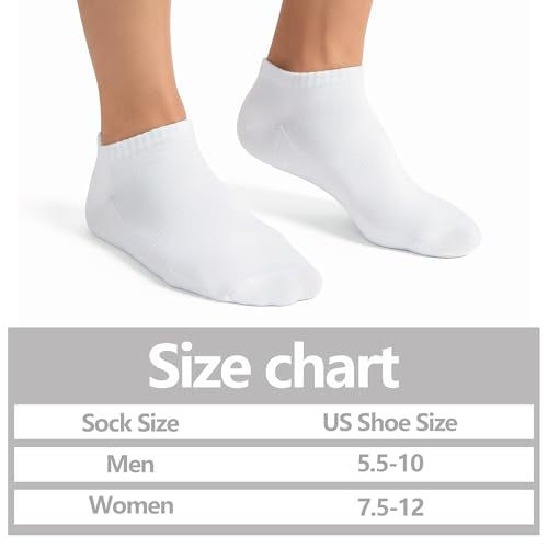 Ankle Running Socks - Cushioned Cotton, Moisture Wicking - One Size, White