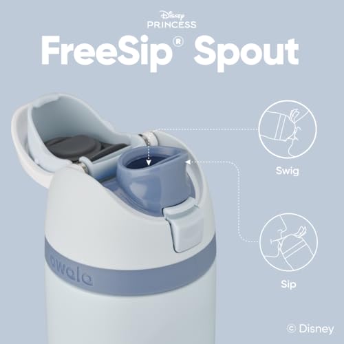24 oz Insulated Stainless Steel Water Bottle with FreeSip Spout