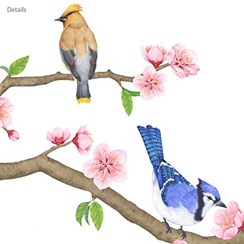 DECOWALL WL2-2009 Garden Birds and Cherry Blossom Wall Stickers Wall Decals Peel and Stick Removable Wall Stickers for Kids Nursery Bedroom Living Room d?cor
