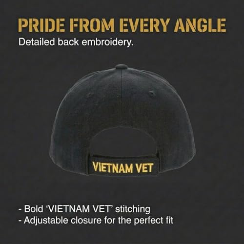 Vietnam Veteran All Gave Some Gave All Black Adjustable Baseball Cap - Patriotic Hat