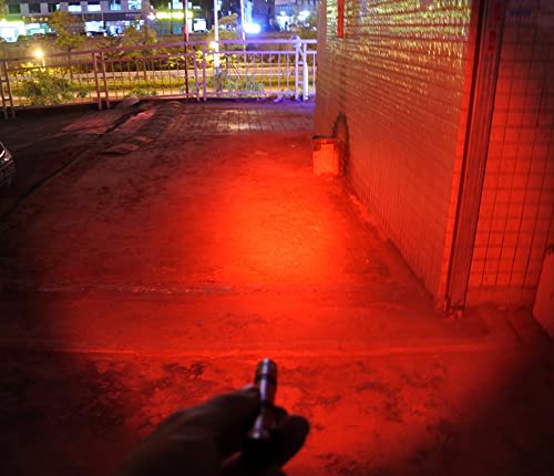 Red Light Pen Flashlight for Night Observation & Emergency Use
