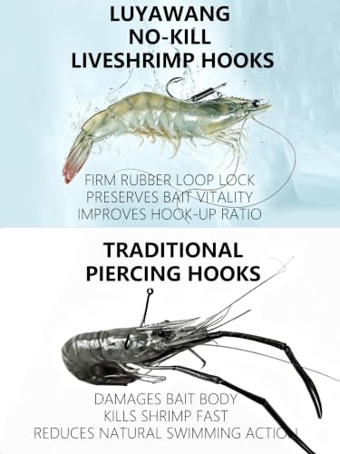 No-Kill Live Shrimp Hooks - High Carbon Steel Circle Hooks, Small Set (2/0, 10pcs)