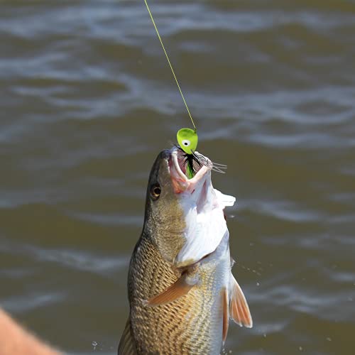 Fly Fishing Poppers - 10PCS Topwater Lures for Trout, Bass & Panfish