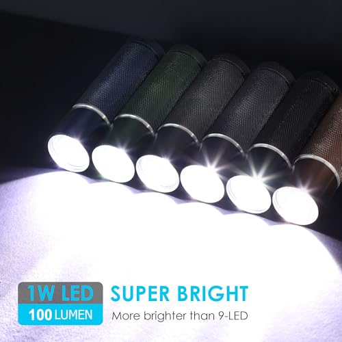 FASTPRO 12-Pack Flashlights Set, Aluminum LED Flashlights with AAA Batteries Included & Pre-Installed, Super Bright 100 Lumen Flashlight for Party Favors, Holiday Gifts, Camping, Hurricane Supplies