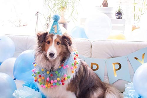 Blue Dog Birthday Party Hat for Small & Medium Pets - 1pc
