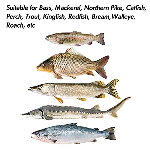 Dr.Fish 2oz Mixed Colors Jigging Spoon Lure for Saltwater Surf Casting – Mackerel Striper Bluefish