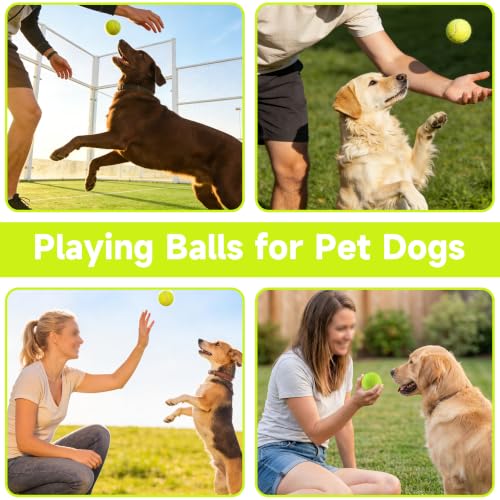 Training Tennis Balls - 4 Pack Durable Practice Balls for Dogs & Beginners - Yellow
