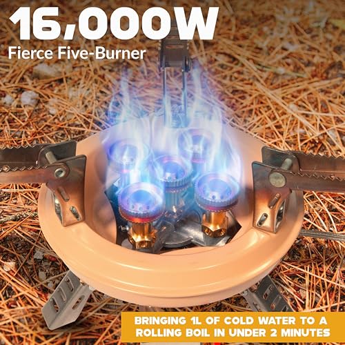 Roamix 54,500 BTU Multi-Fuel Portable Camping Stove with Carrying Case