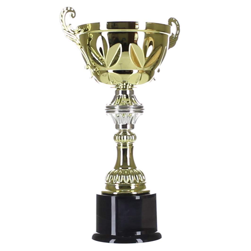 Decade Awards Gold and Silver Cup Trophy - Custom Engraved Metal Cup Corporate Award - Customize Now (G/S-10 Inch Tall)