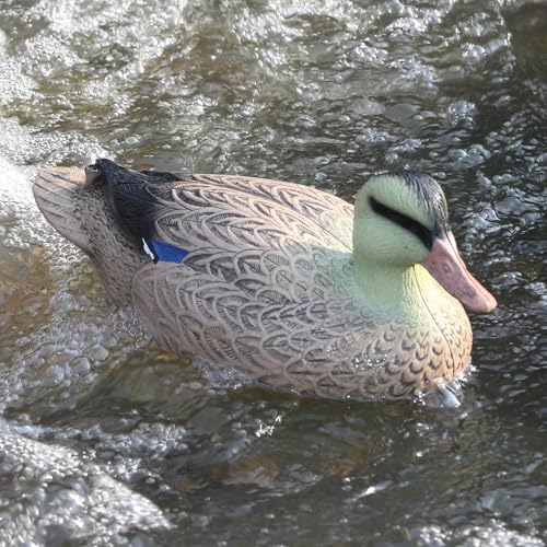 Mallard Duck Decoys 2-Pack - 13-Inch Floating Waterfowl Decoys with Weighted Keel for Hunting & Pond Decor
