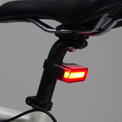 Intrinsic Tail Light