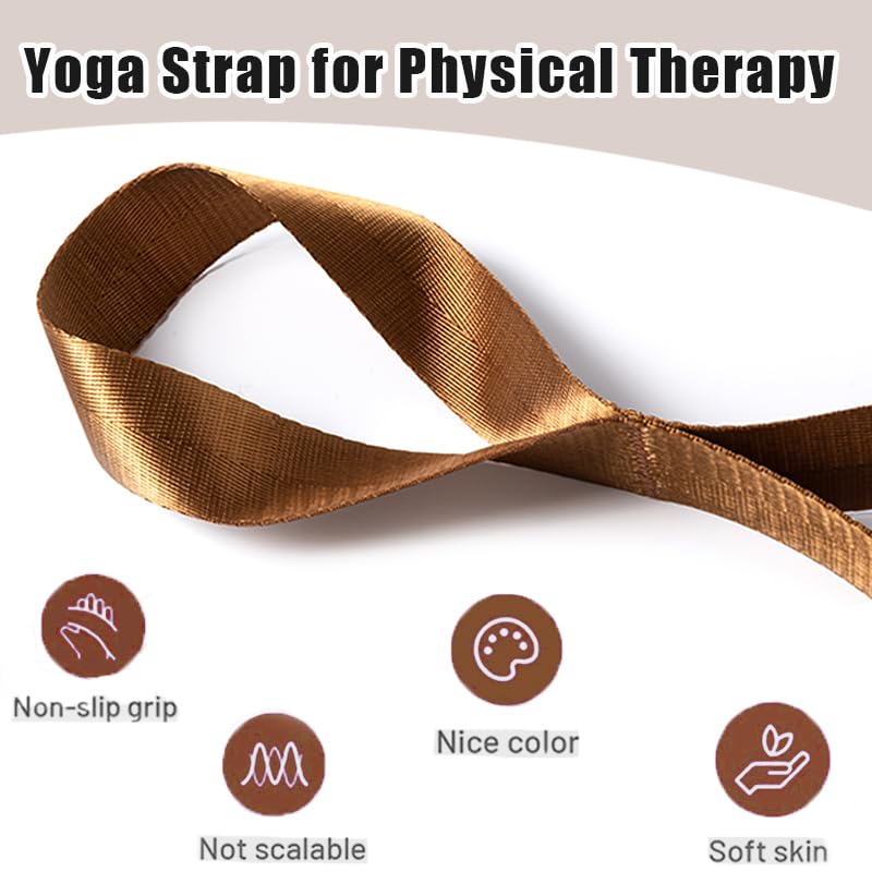 Stretching Strap with 10 Loops - Yoga Band for Physical Therapy - Pink/Silver