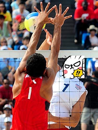 Professional Volleyball Net - Heavy Duty Outdoor 32x3FT