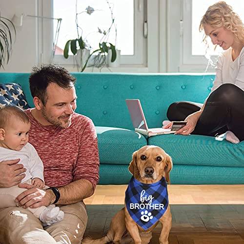 Big Brother Dog Bandana - Blue Plaid Pregnancy Announcement