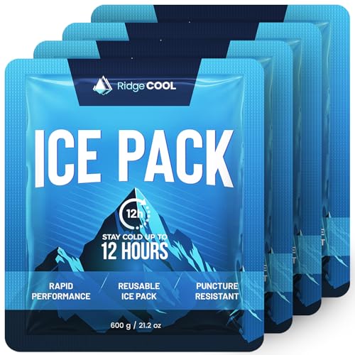 RIDGECOOL 4-Pack Large Reusable Ice Packs, 600g Each | 9.8 x 8.6 in, Leakproof & BPA-Free for Coolers