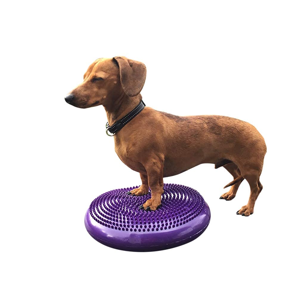 DEZAL Dog Balance Disc Cushion 14" - With 2 Exercises and Pump - Dog rehab Exercise Strength Endurance Conditioning Fitness Flexibility Rehabilitation Physical Training Tool for Senior Dogs