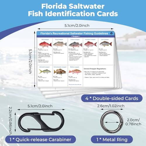 Florida Saltwater Fishing Guide Cards - Waterproof Quick Reference Set