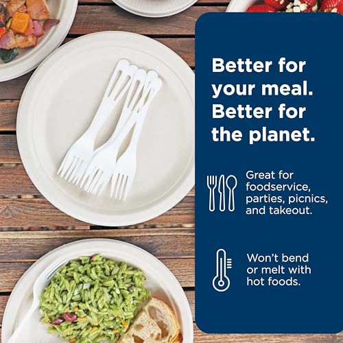Compostable TPLA Forks - 6.3 Inch, Pack of 24
