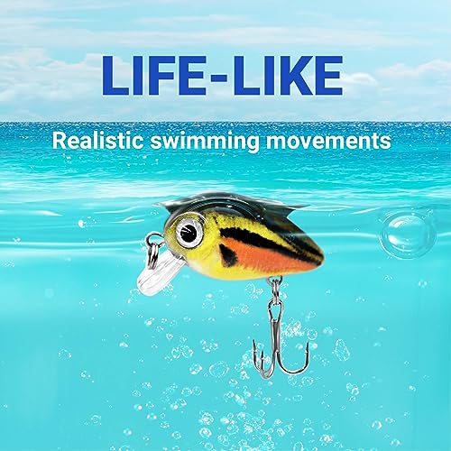 Assorted 5PCS Micro Crankbait Fishing Lures Set with 3D Eyes