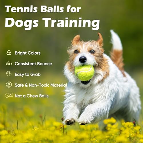 Treeroot 16 Pack Tennis Balls for Training & Dogs with Mesh Bag - Durable & High Bounce