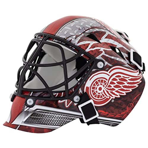 Detroit Red Wings Mini Hockey Goalie Mask with Display Case