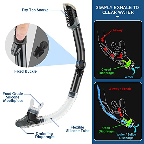 Travel Size Snorkeling Gear Set - Grey ML/XL - Anti-Fog Mask, Trek Fins, Dry Top Snorkel