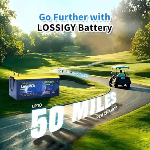 36V Lithium Golf Cart Battery 100Ah with Charger - RC 36V100AH+C&M