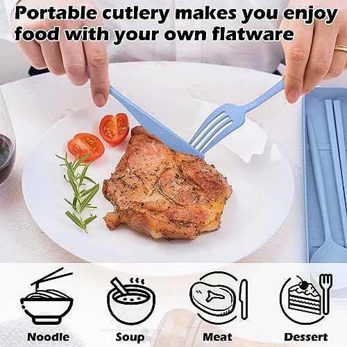 Portable Reusable Utensils Set with Case - 4 Colors