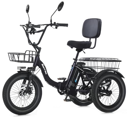 Folding Electric Tricycle for Adults - 1100W, N6-B Model