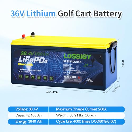 36V Lithium Golf Cart Battery 100Ah with Charger - RC 36V100AH+C&M