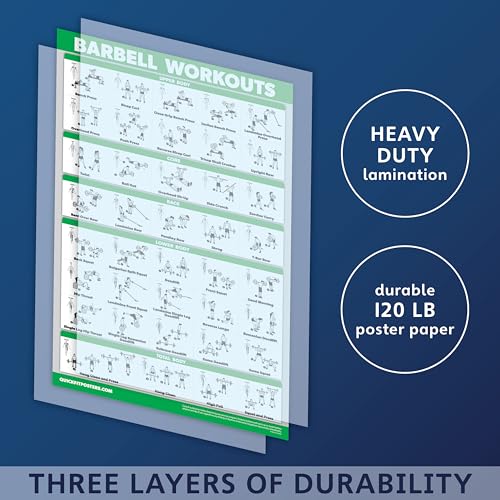 Muscle Workout Charts Set - 4 Laminated Posters 18" x 24"