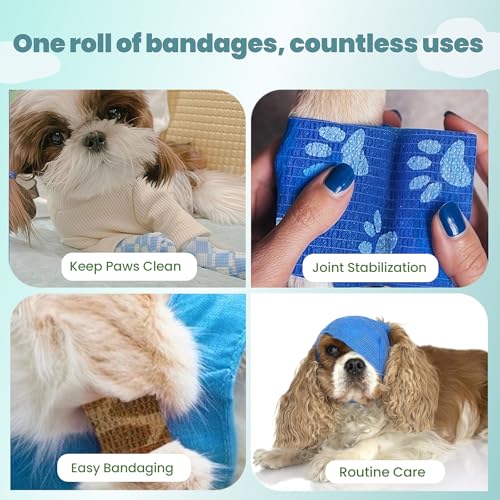 Self-Adhesive Pet Bandage - 6 Rolls, 2 Inch, Assorted Colors - Animals