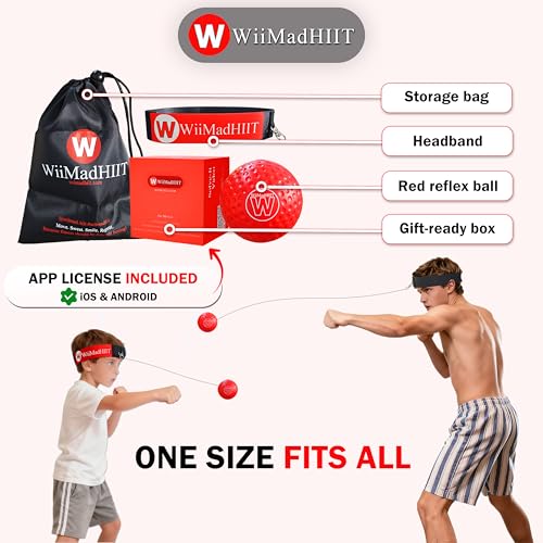 Boxing Reflex Ball with Punch Counter App - Red
