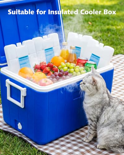 Pecute Reusable Gel Ice Packs for Cooler, 4 Pack - Slim, Freezable Lunch Box Ice Packs