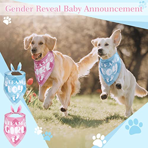2 Pack Gender Reveal Dog Bandanas - Pink & Blue