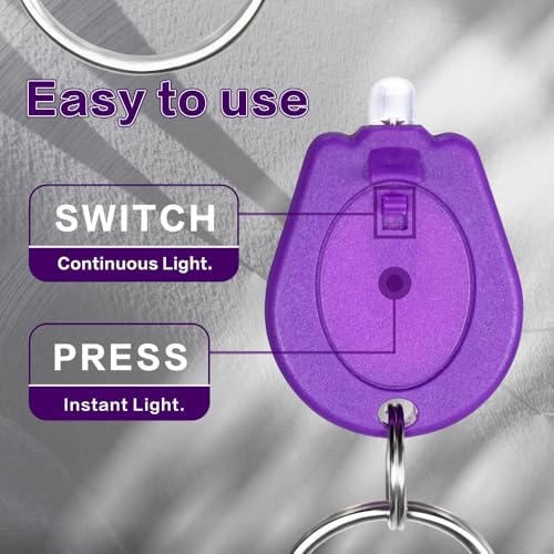 10 Pack Mini LED Keychain Flashlight - Multicolor Portable Light