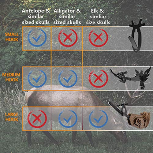 European Skull Mount Hanger for Deer and Antelope - 1 Pack