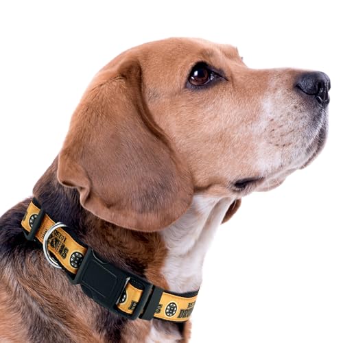 Boston Bruins Pet Collar for Dogs & Cats - Medium (12-18" L)