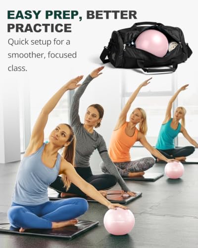 9-Inch Dusty Rose Yoga Ball for Exercise & Balance Training