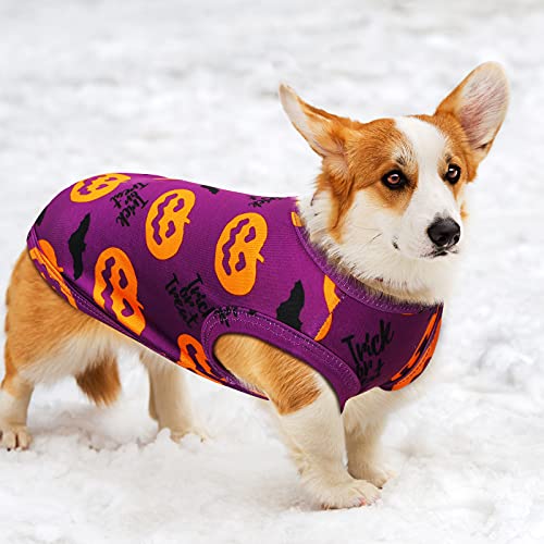 Halloween Dog Costume Vest - 4 Styles for Small Dogs, L/ 7-9lbs