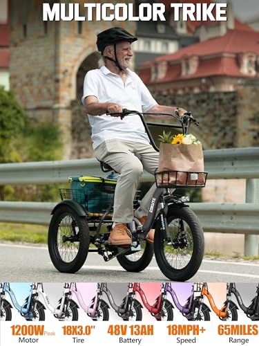 Electric Trike Bike with 1200W Motor & 624Wh Battery - Black