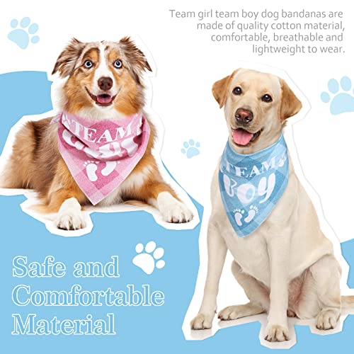 2 Pack Gender Reveal Dog Bandanas - Pink & Blue